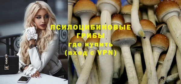соль ск Алексин