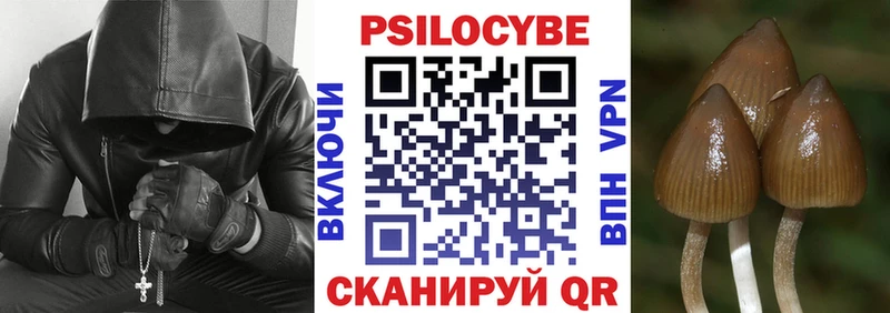 Галлюциногенные грибы Psilocybe  как найти наркотики  площадка телеграм  Суджа  kraken как зайти 